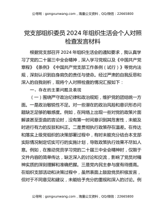 党支部组织委员2024年组织生活会个人对照检查发言材料