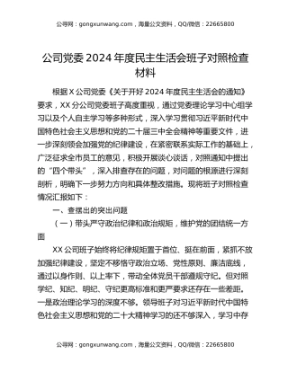 公司党委2024年度民主生活会班子对照检查材料