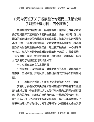 公司党委班子关于巡察整改专题民主生活会班子对照检查材料（四个聚焦）