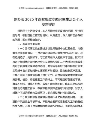 副乡长2025年巡察整改专题民主生活会个人发言提纲