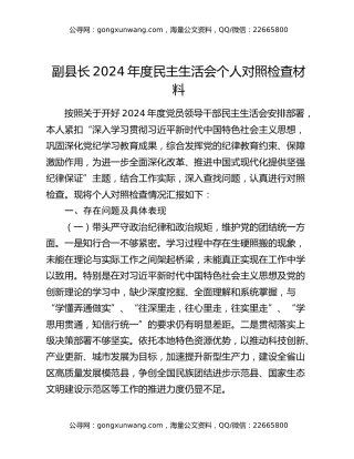 副县长2024年度民主生活会个人对照检查材料