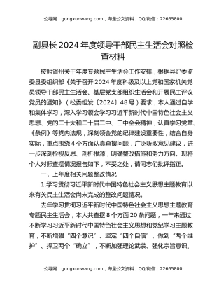副县长2024年度领导干部民主生活会对照检查材料
