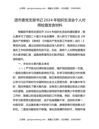 团市委党支部书记2024年组织生活会个人对照检查发言材料