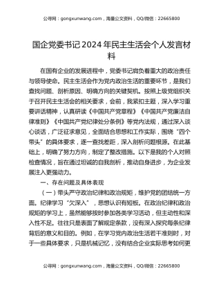 国企党委书记2024年民主生活会个人发言材料