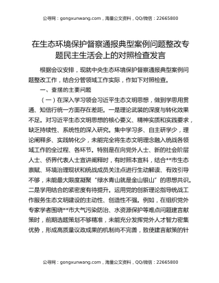 在生态环境保护督察通报典型案例问题整改专题民主生活会上的对照检查发言