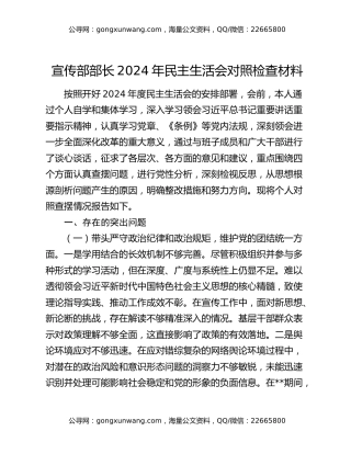 宣传部部长2024年民主生活会对照检查材料