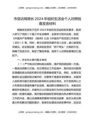 市信访局局长2024年组织生活会个人对照检查发言材料