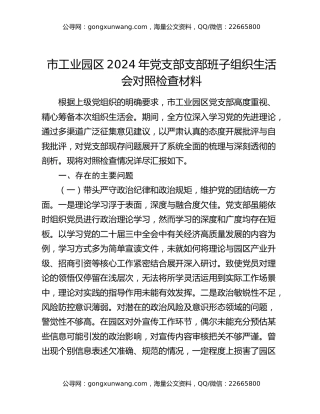 市工业园区2024年党支部支部班子组织生活会对照检查材料