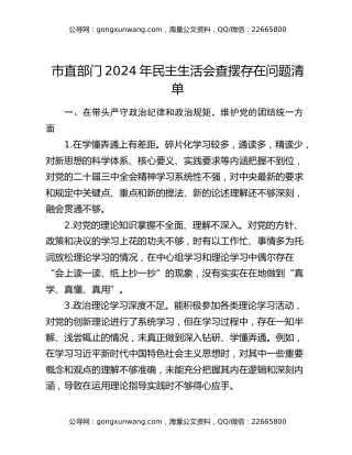 市直部门2024年民主生活会查摆存在问题清单
