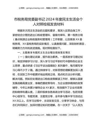 市税务局党委副书记2024年度民主生活会个人对照检视发言材料