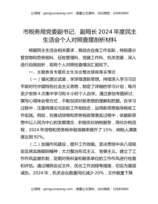 市税务局党委副书记、副局长2024年度民主生活会个人对照查摆剖析材料