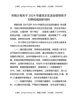 市统计局关于2024年度民主生活会领导班子对照检视剖析材料
