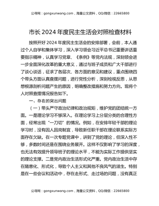 市长2024年度民主生活会对照检查材料