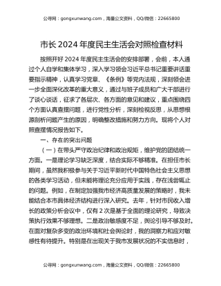 市长2024年度民主生活会对照检查材料（3）