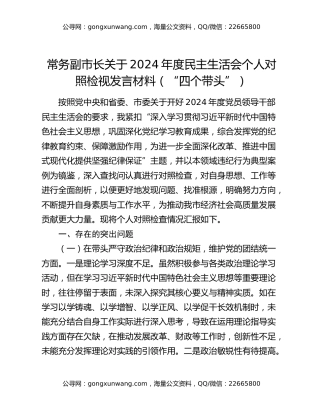 常务副市长关于2024年度民主生活会个人对照检视发言材料（“四个带头”）