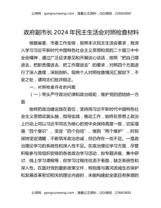 政府副市长2024年民主生活会对照检查材料