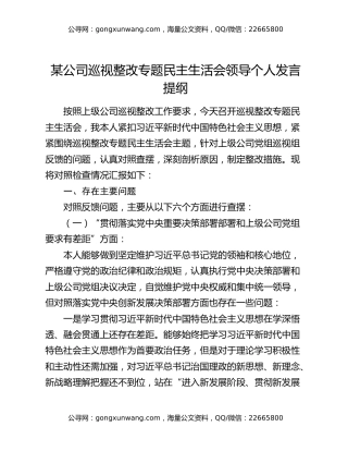 某公司巡视整改专题民主生活会领导个人发言提纲