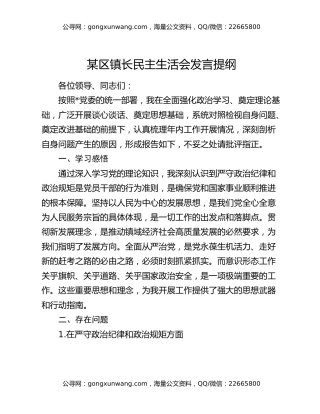 某区镇长民主生活会发言提纲