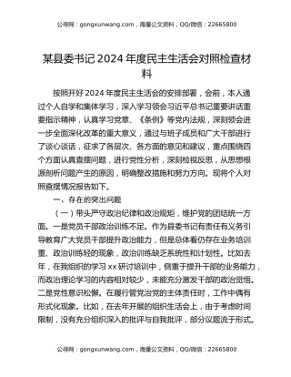 某县委书记2024年度民主生活会对照检查材料