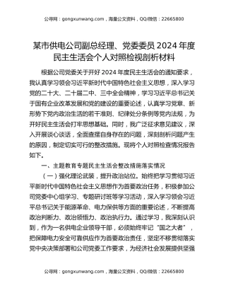 某市供电公司副总经理、党委委员2024年度民主生活会个人对照检视剖析材料