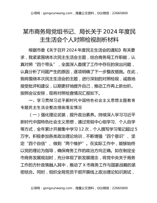 某市商务局党组书记、局长关于2024年度民主生活会个人对照检视剖析材料