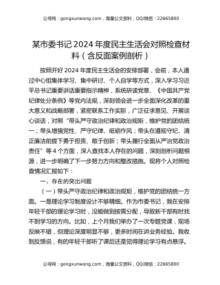 某市委书记2024年度民主生活会对照检查材料（含反面案例剖析）