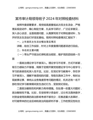 某市审计局领导班子2024年对照检查材料