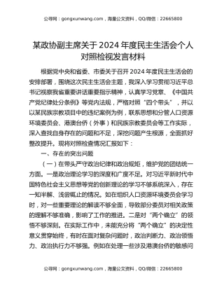 某政协副主席关于2024年度民主生活会个人对照检视发言材料