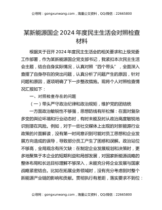某新能源国企2024年度民主生活会对照检查材料