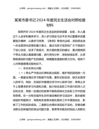 某某市委书记2024年度民主生活会对照检查材料