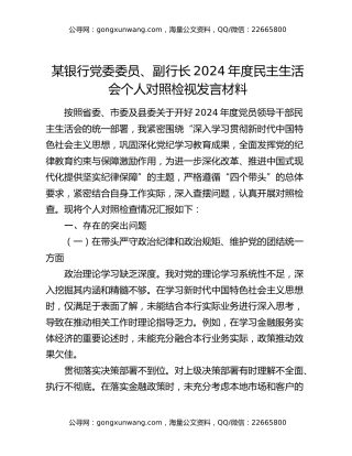 某银行党委委员、副行长2024年度民主生活会个人对照检视发言材料