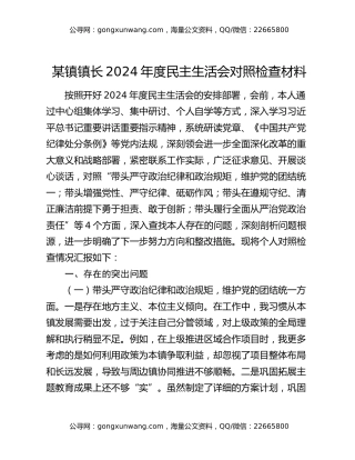 某镇镇长2024年度民主生活会对照检查材料
