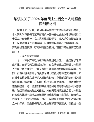 某镇长关于2024年度民主生活会个人对照查摆剖析材料