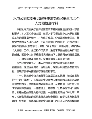 水电公司党委书记巡察整改专题民主生活会个人对照检查材料