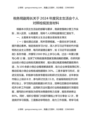 税务局副局长关于2024年度民主生活会个人对照检视发言材料
