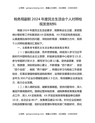 税务局副职2024年度民主生活会个人对照检视发言材料