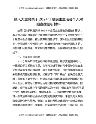 镇人大主席关于2024年度民主生活会个人对照查摆剖析材料