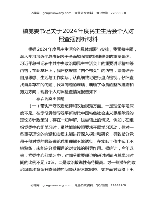 镇党委书记关于2024年度民主生活会个人对照查摆剖析材料