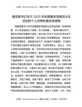 镇党委书记关于2025年巡察整改专题民主生活会的个人对照检查发言提纲
