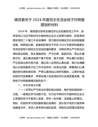 镇党委关于2024年度民主生活会班子对照查摆剖析材料