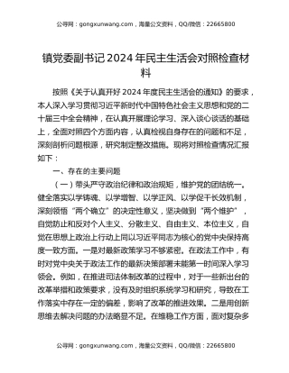 镇党委副书记2024年民主生活会对照检查材料