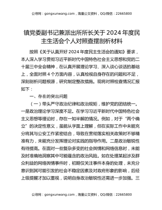 镇党委副书记兼派出所所长关于2024年度民主生活会个人对照查摆剖析材料