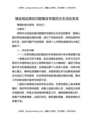 镇巡视巡察后问题整改专题民主生活会发言