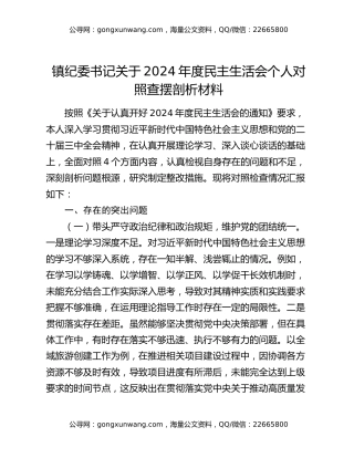镇纪委书记关于2024年度民主生活会个人对照查摆剖析材料