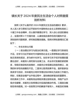 镇长关于2024年度民主生活会个人对照查摆剖析材料