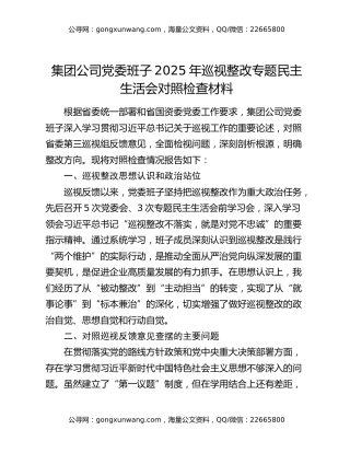 集团公司党委班子2025年巡视整改专题民主生活会对照检查材料