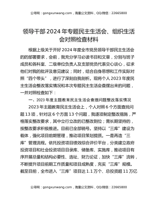 领导干部2024年专题民主生活会、组织生活会对照检查材料