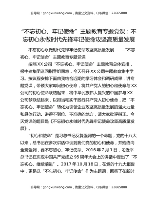 “不忘初心、牢记使命”主题教育专题党课：不忘初心永做时代先锋牢记使命攻坚高质量发展
