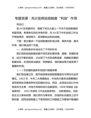 专题党课：充分发挥巡视制度“利剑”作用