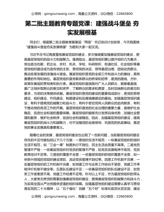 第二批主题教育专题党课：建强战斗堡垒 夯实发展根基
